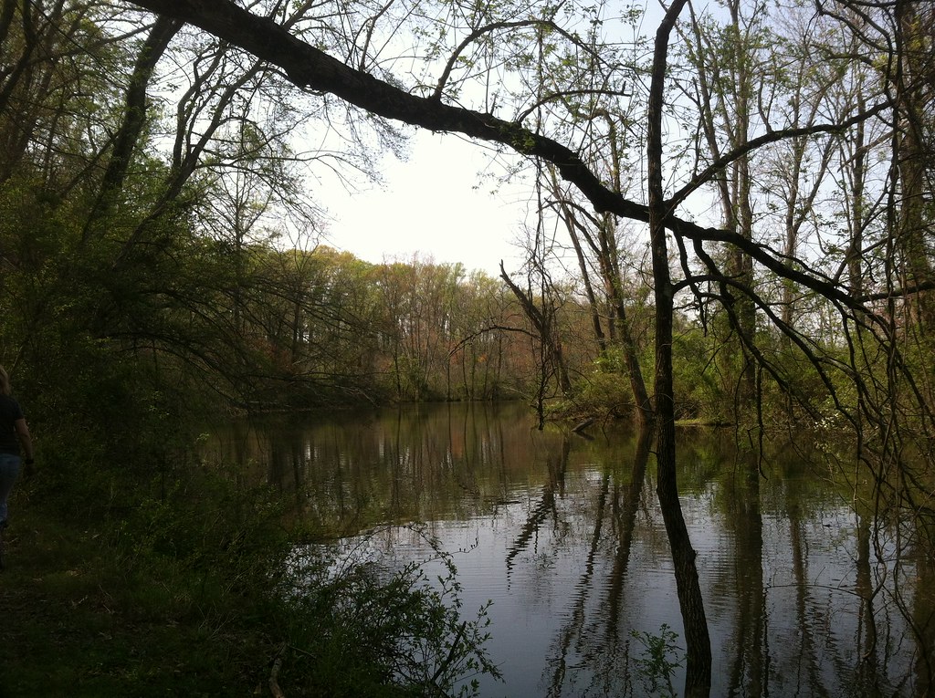 Albert's Organics April 2016 SJLWT Photo Flickr