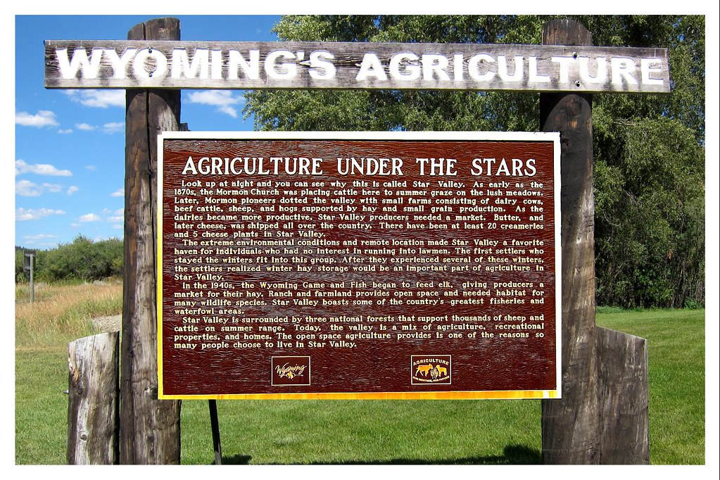 389 Star Valley Wy S of Jackson 2_7310 rs NPtrekkr Flickr