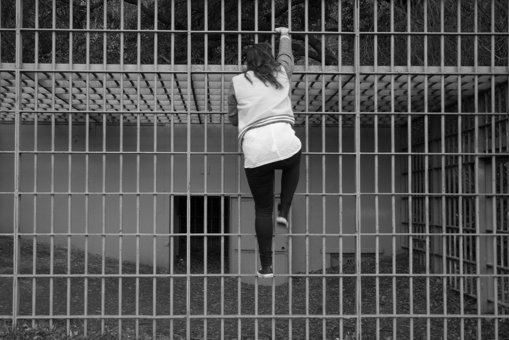 Devin climbing a cage Photograph by alan alan Flickr
