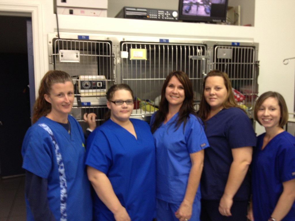 Out Team Live Oak Animal Hospital in Vero Beach, FL Live Oak Animal