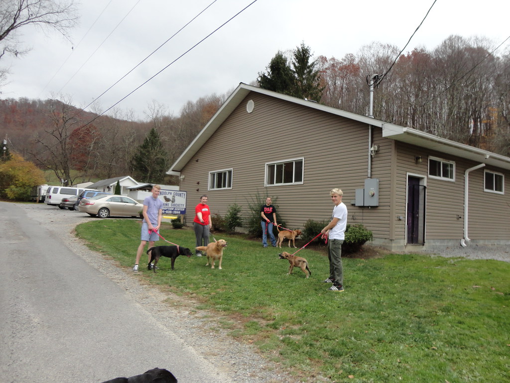 Randolph County Humane Society Liam Ainsworth, Lauren Pann… Flickr
