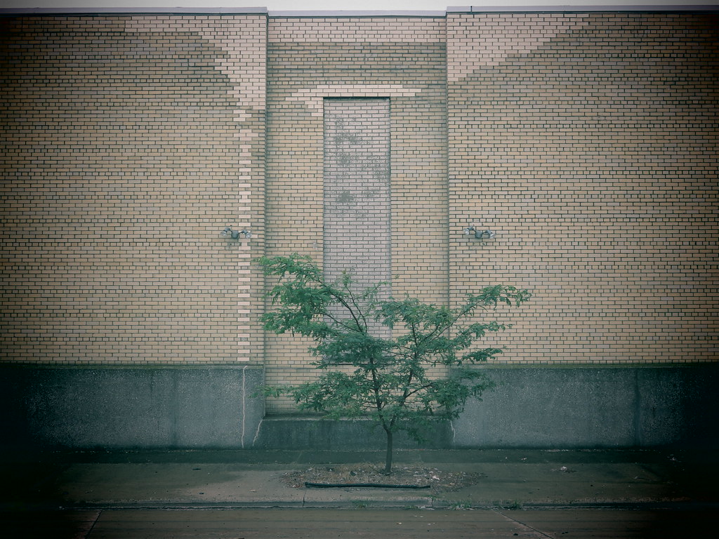 GoodrichKirtland Park, OH Flickr