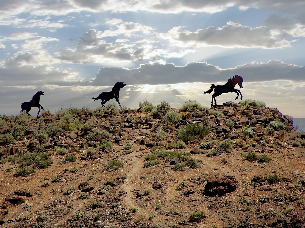 Wild Horses Washington State USA A sculpture of 15 wil… Flickr