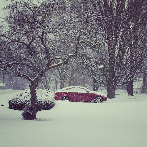 Bethany Meadows Flickr