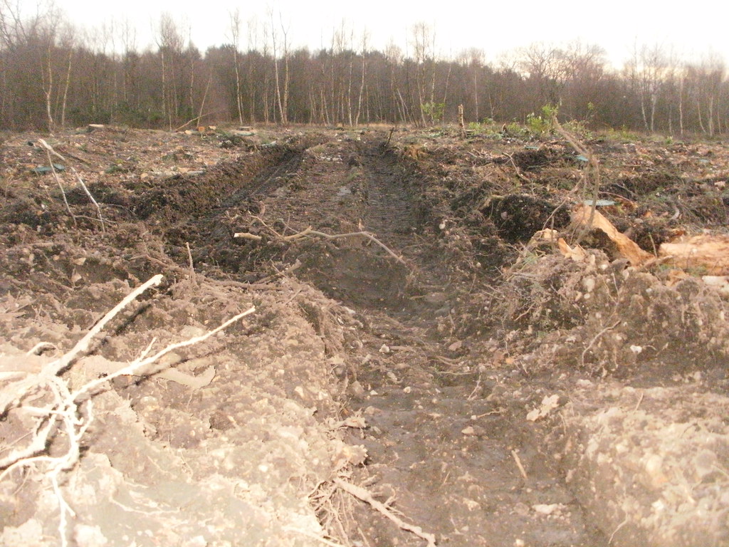 Woodland clearance on Yateley Common Sarah J Allen Flickr