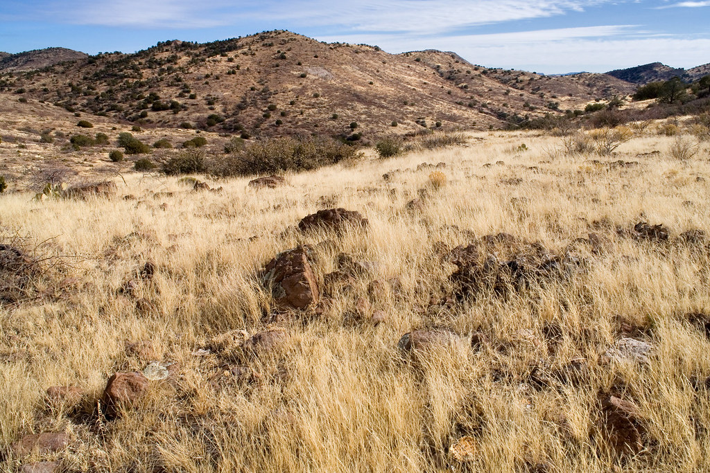 Near Steeple Rock Near Steeple Rock, 01036 near trend plot… Flickr
