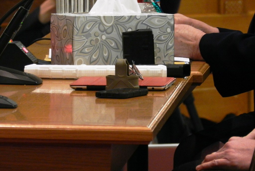Gun Control Hearings Gun control hearings at the state cap… Flickr