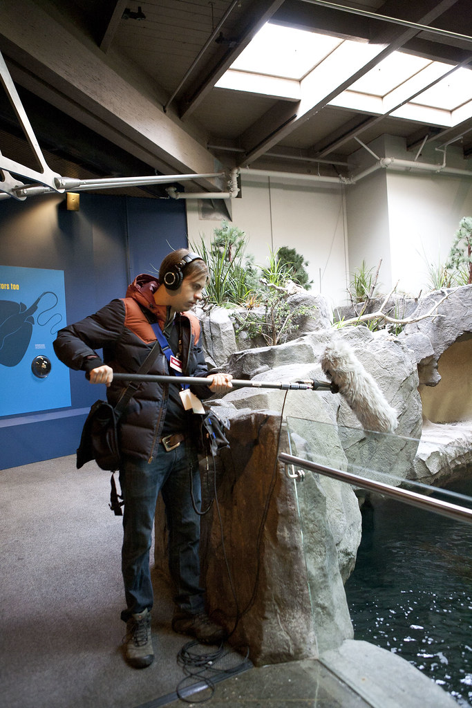 VFS Sound Design for Visual Media Vancouver Aquarium 2013… Flickr