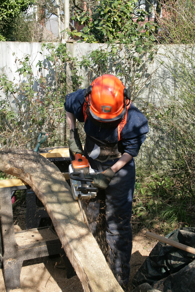 Commisioned Chainsaw Carving,Poole,Dorset 05/03/2013 Flickr