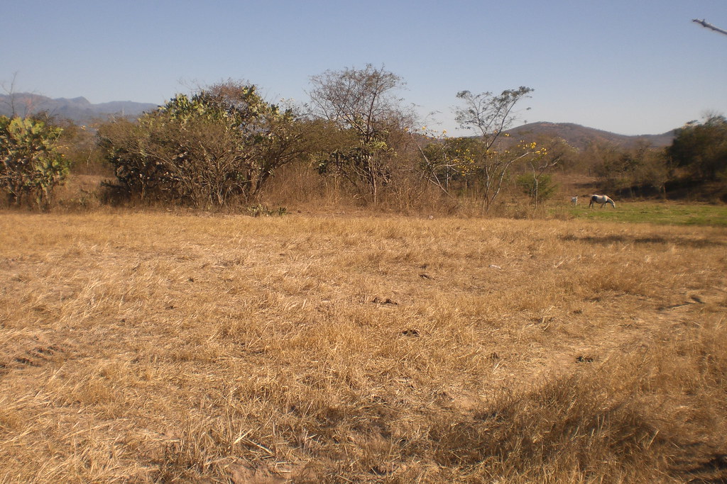 ventas de terrenos en honduras, terrenos de venta en honduras a photo