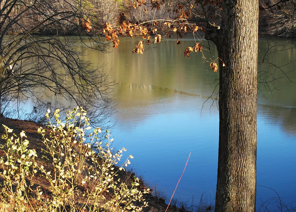 Robert E Lee Park Lake Roland Karen Mallonee Flickr