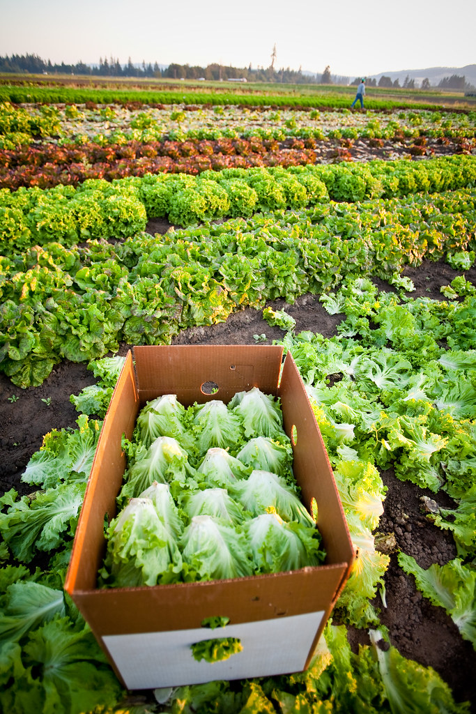 Farming015 Farming in Oregon and Washington©Jan Sonnenmair… Flickr