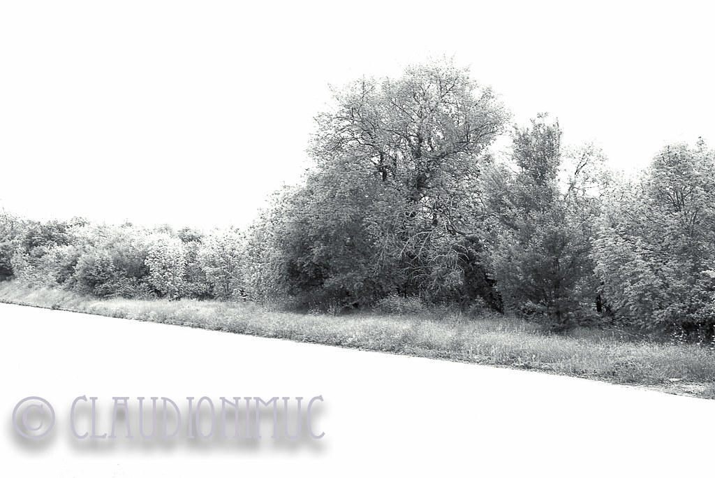 Spoon River Anthology Elizabeth Childers Claudio Cumin Flickr