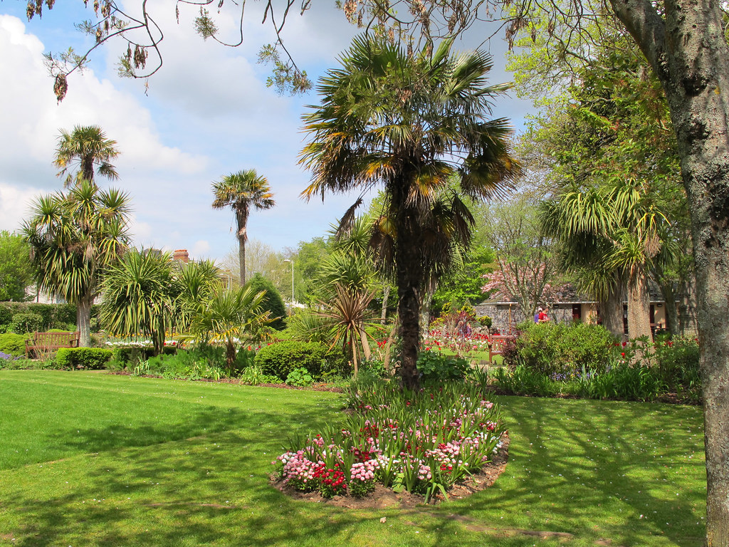 Dartmouth park, spring Palms and spring flowers in a park… Flickr