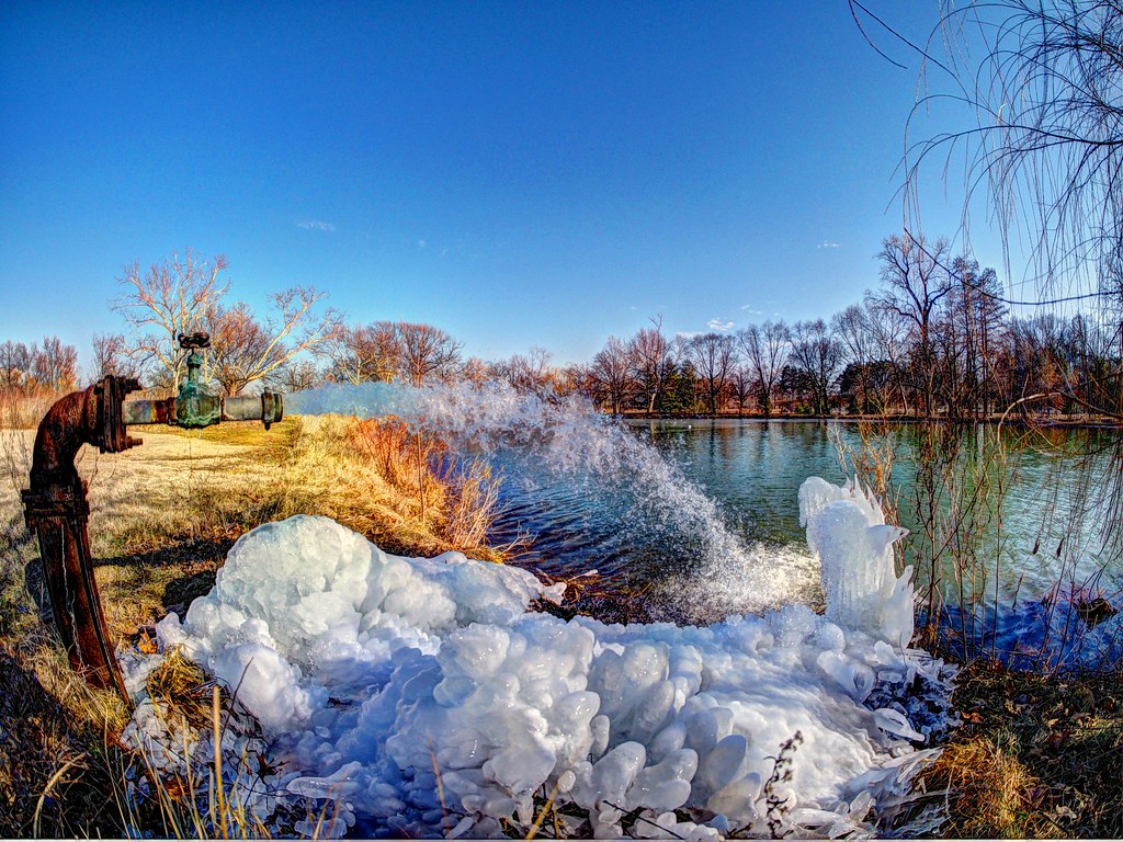 Deer Lake Deer Lake in Forest Park Bob Bawell Flickr