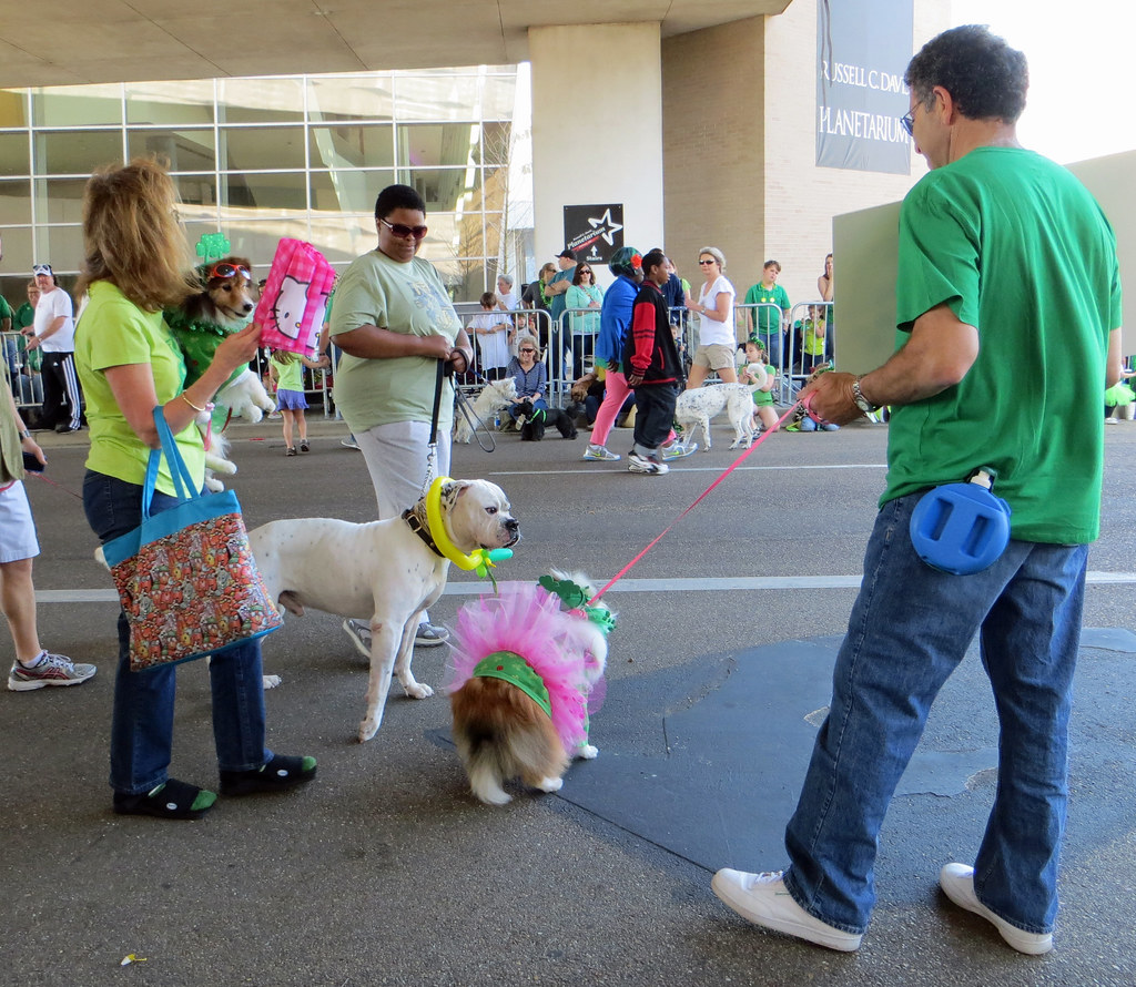 Pet Parade NatalieMaynor Flickr