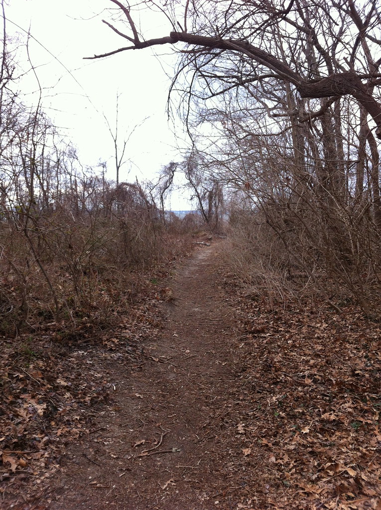 Welwyn Preserve County Park, Long Island, New York March … Flickr