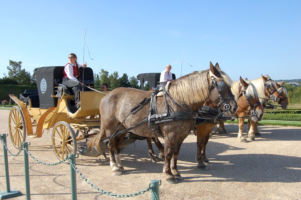 The Better Way You can rent horsedrawn carriages or golf… Flickr