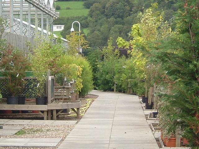Garden centre in the Clyde Valley Sandyholm Garden Centre Flickr