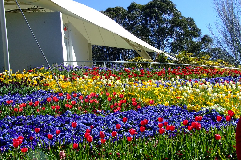 Floriade flower festival Canberra, Australia 2006_0925_1… Vanessa
