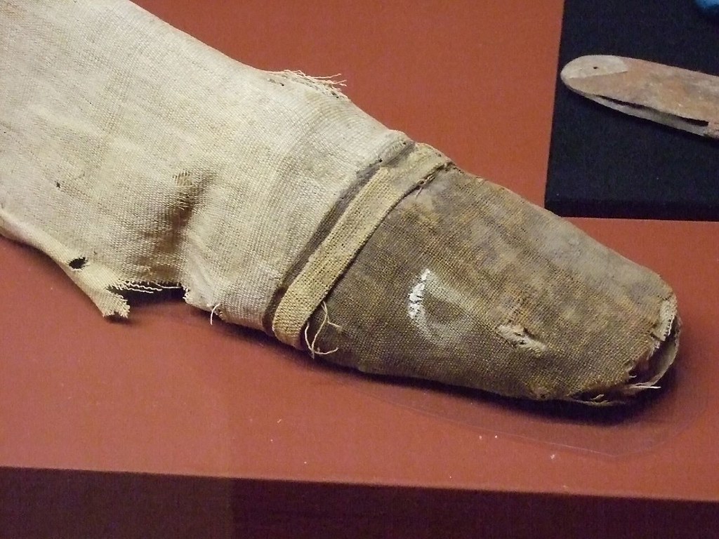 Mummified Nile Catfish funerary food offering MIddle Kingdom Egypt (1