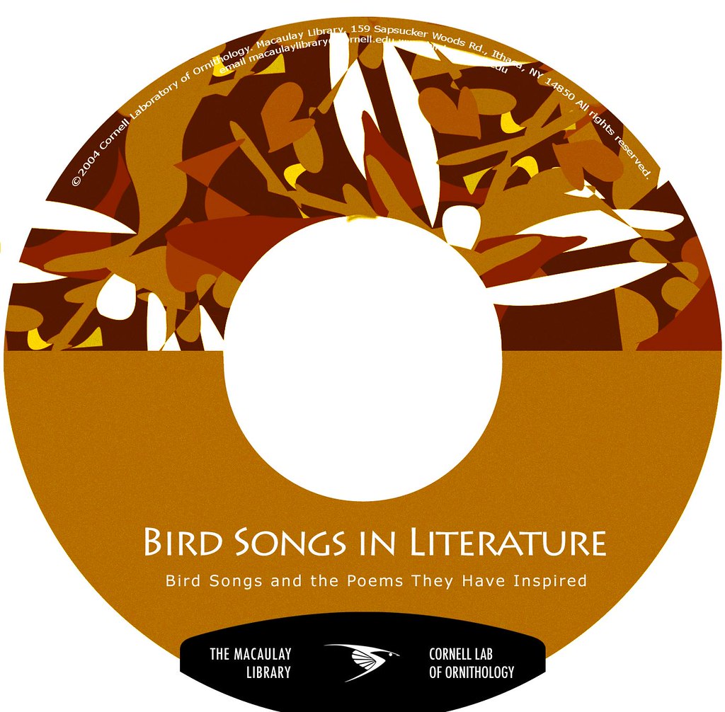 CD label Random comp from a cd design project I eventual… Flickr