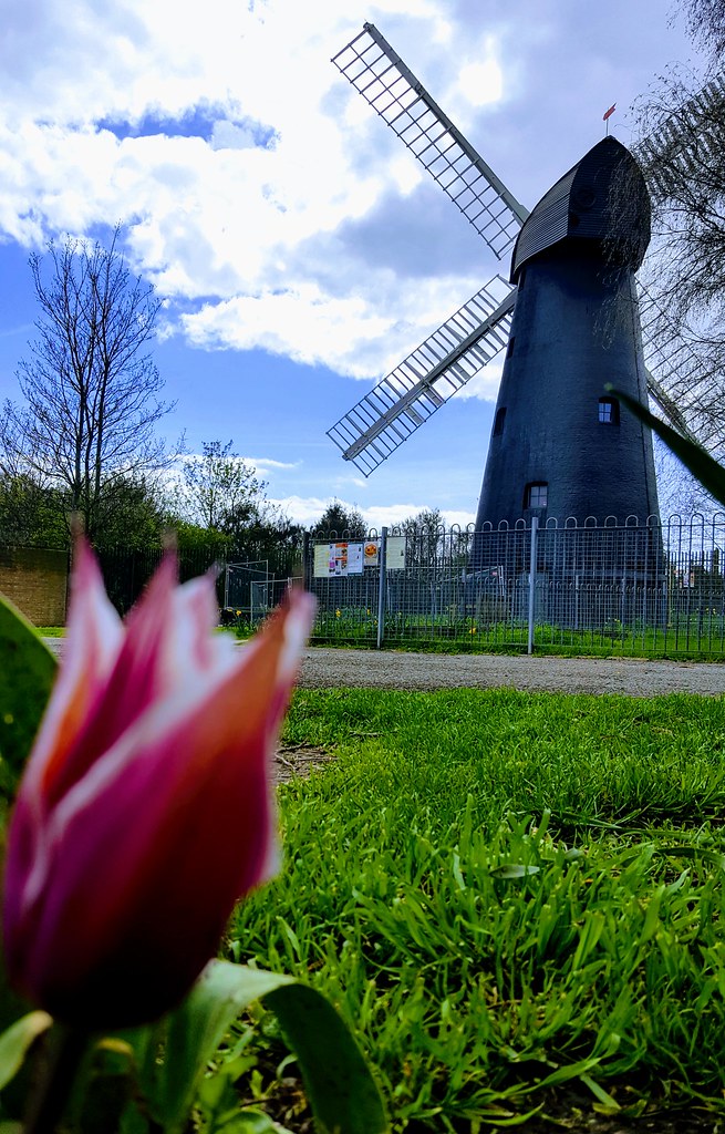 Windmill Gardens Spring in Windmill Gardens thomasjbt Flickr