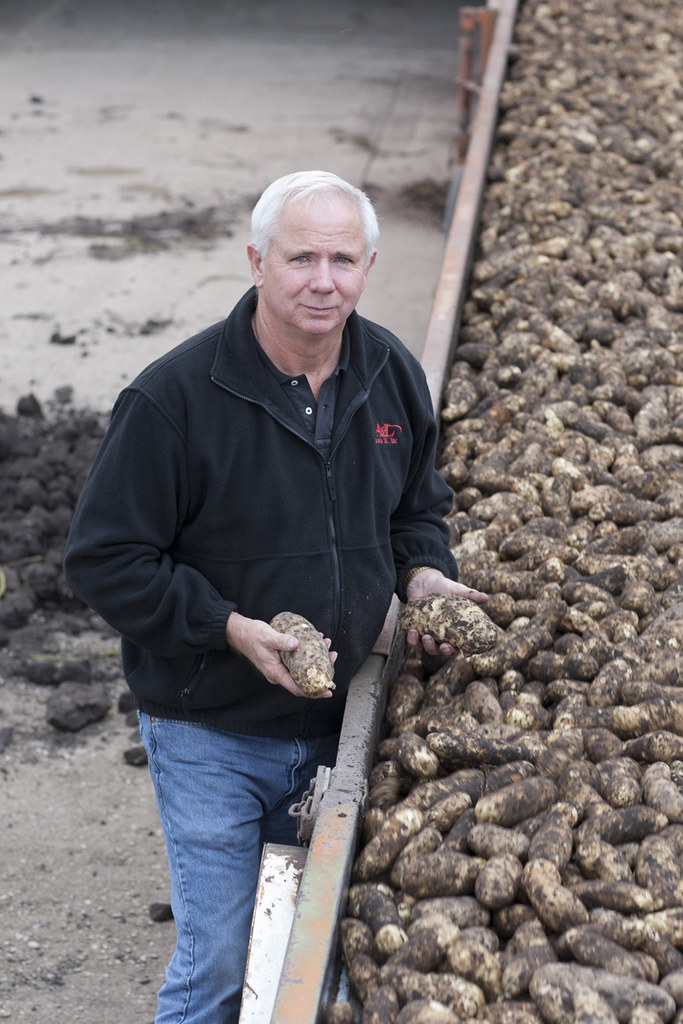 Hoverson Farms Spudman