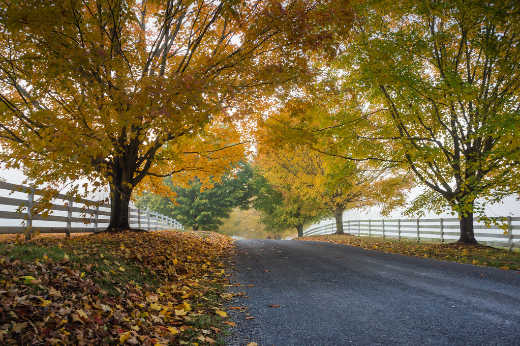 Just A Memory It was a foggy fall morning on Waldron Farm … Flickr