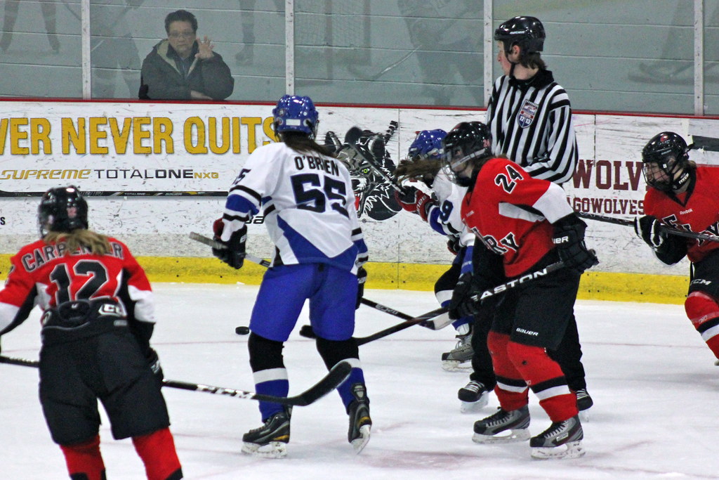 The Chicago Fury U14 AAA Girls Hockey Team vs Team Illinoi… Flickr