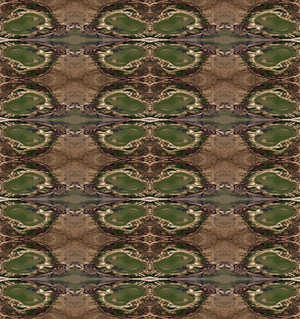 19 Robin Milligan Flickr