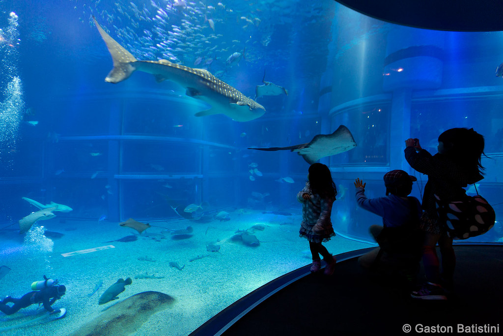 Osaka Aquarium Kaiyukan, Japan The Osaka Aquarium Kaiyukan… Flickr