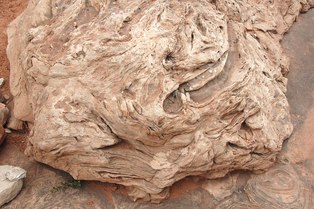 Softsediment deformation in sandstone (Navajo Sandstone, Lower