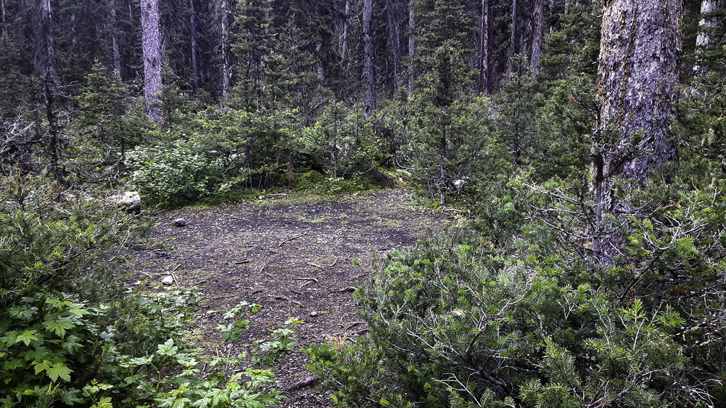 Peter Lougheed PP Forks Backcountry Campground Campsit… Flickr