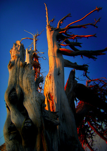 NORTHSTAR20 | Flickr