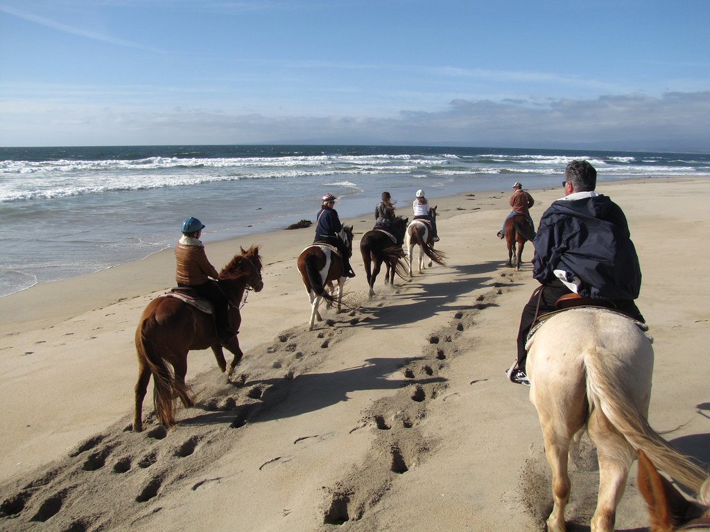 Horseback Riding on Salinas River State Beach Monterey Bay… Flickr