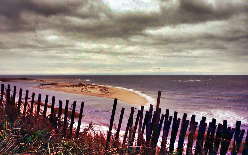 Elevation of California Ave, Port Jefferson, NY, USA Topographic Map