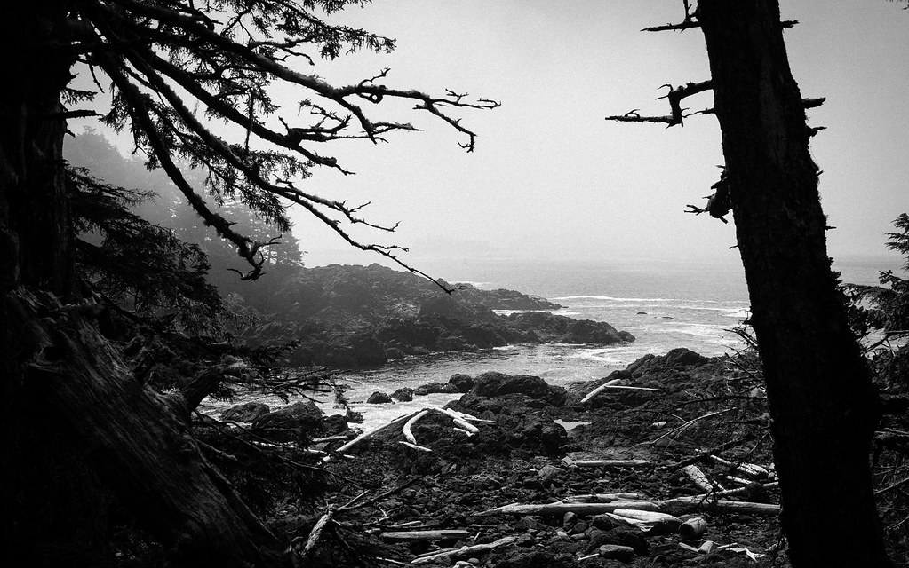 Foggy Bay, low tide Ucluelet lighthouse trail, Vancouver B… ptusan