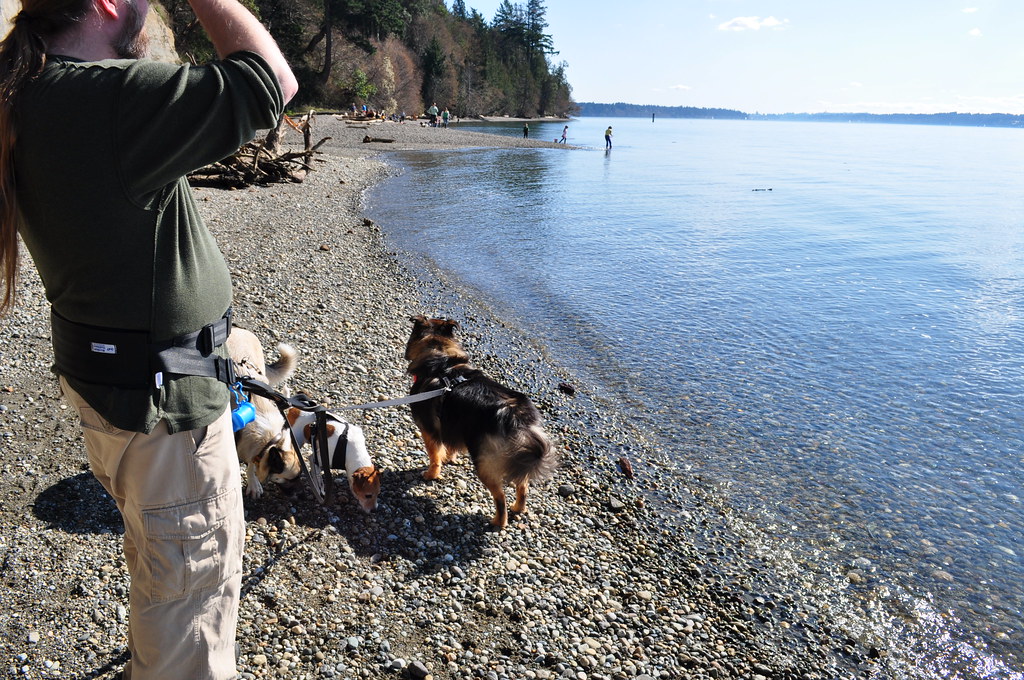 DSC_0016 Burfoot Park in Olympia, WA day 2 with the dog… Flickr