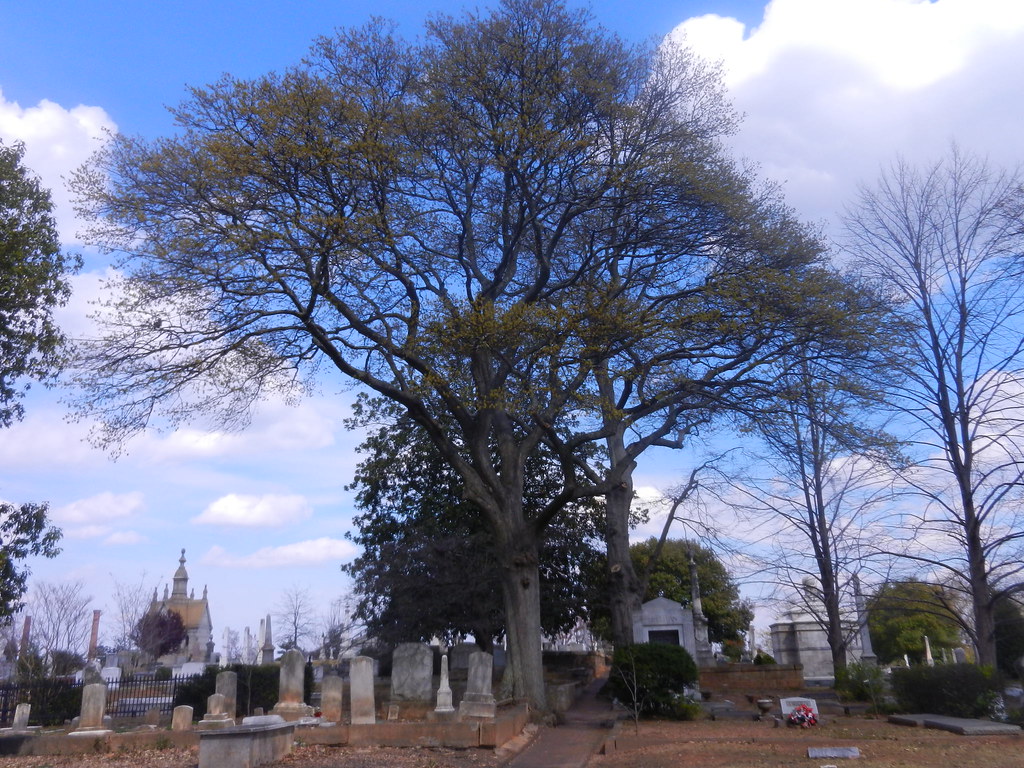 Oakland Cemetery 20130330 Oakland Cemetery 20130330 Flickr