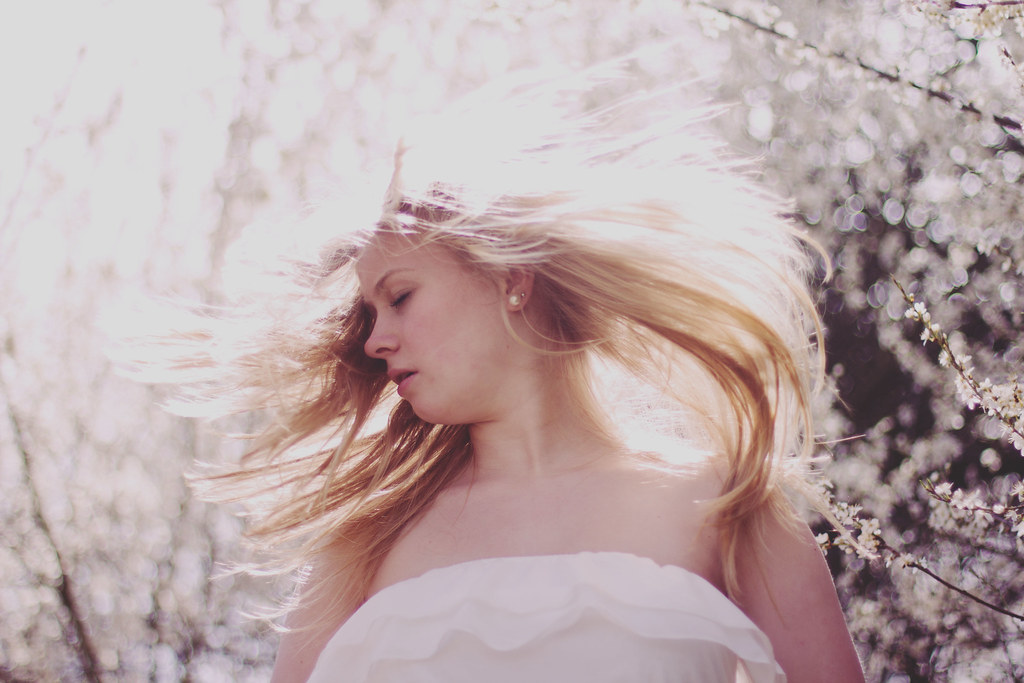 Blossom Kisses she keeps on dreaming Flickr