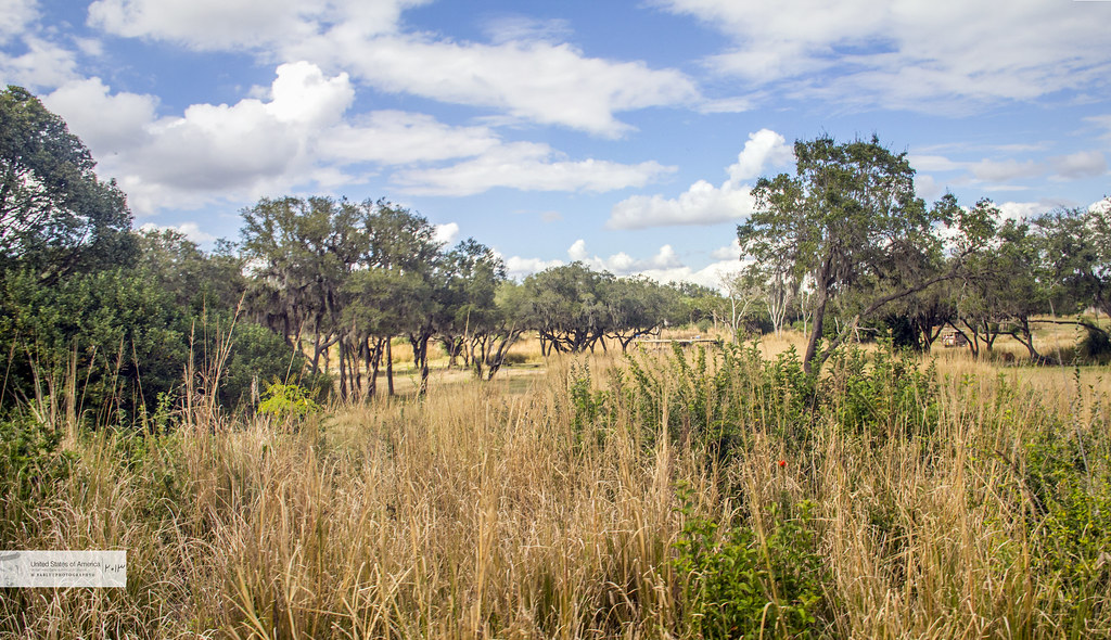 Jungles of Africa in Us,FL FL, Orland Jan 2013 Flickr