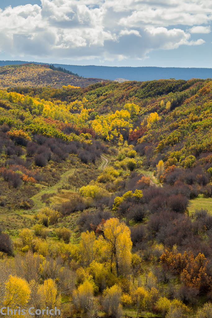 Elevation of Hwy E, Collbran, CO, USA Topographic Map Altitude Map