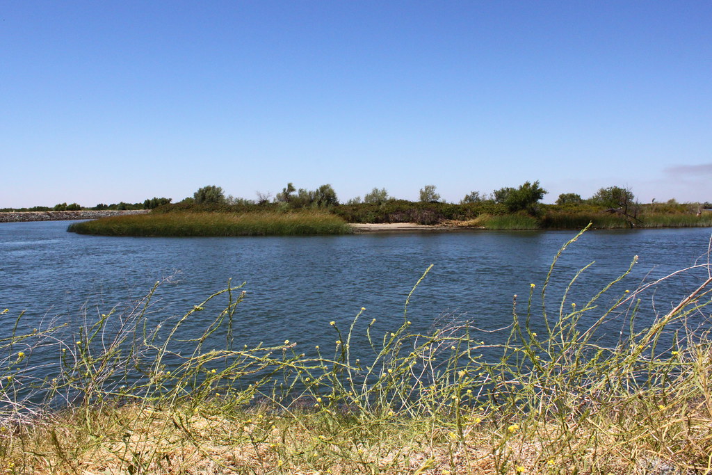 Bethel Island 9 July 2010 Take a photo tour of California… Flickr