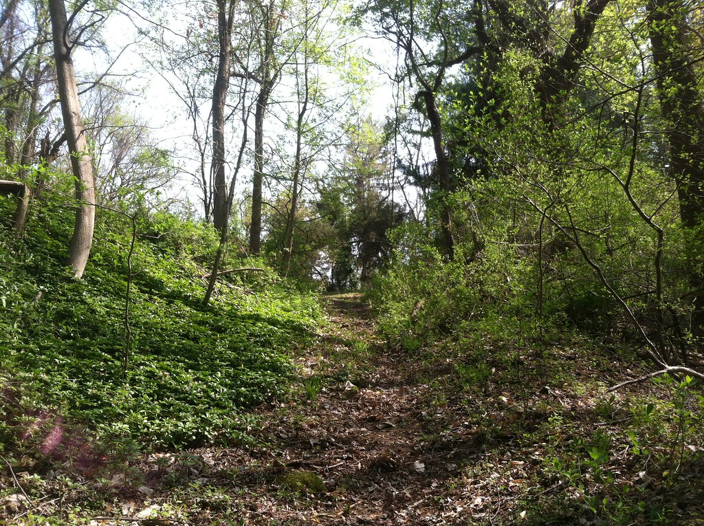 Albert's Organics April 2016 SJLWT Photo Flickr