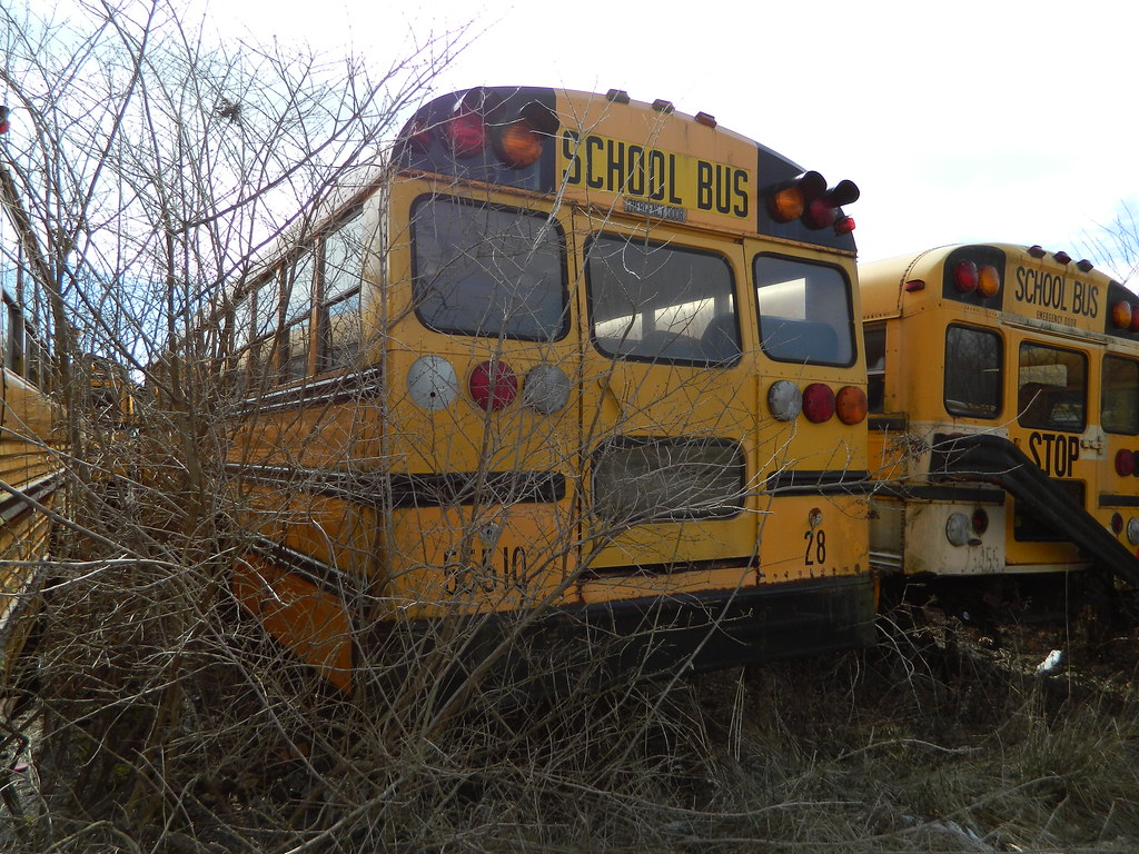 exField Local School District 28 (4) Cincinnati NKY Buses Flickr