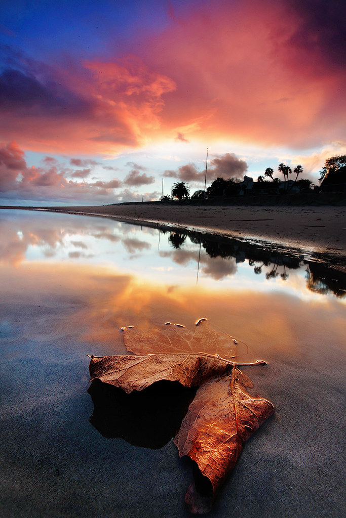 The Colony, Malibu Ca The Fateful path of small ideas a photo on