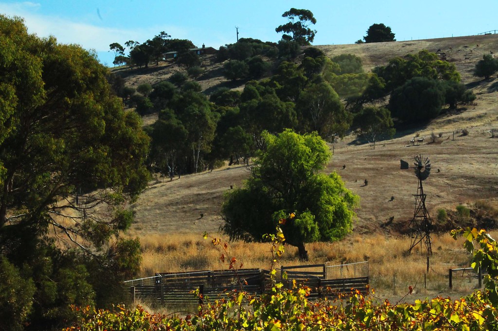 vineyard billabong Maclaren Vale Adelaide adailyshoot Bi… Flickr