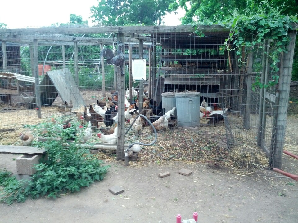 At Boggy Creek Farms Boggy Creek Farms (… Flickr