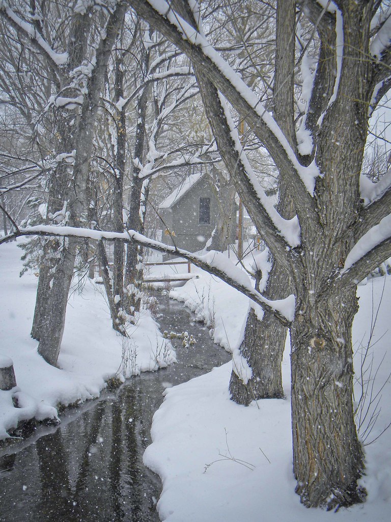 Woodbourne Hollow Road Snow continued to fall yesterday bu… Flickr